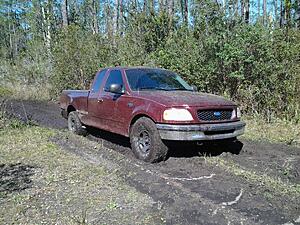Decided to hit the mud [Pics]-p8bk9zb.jpg