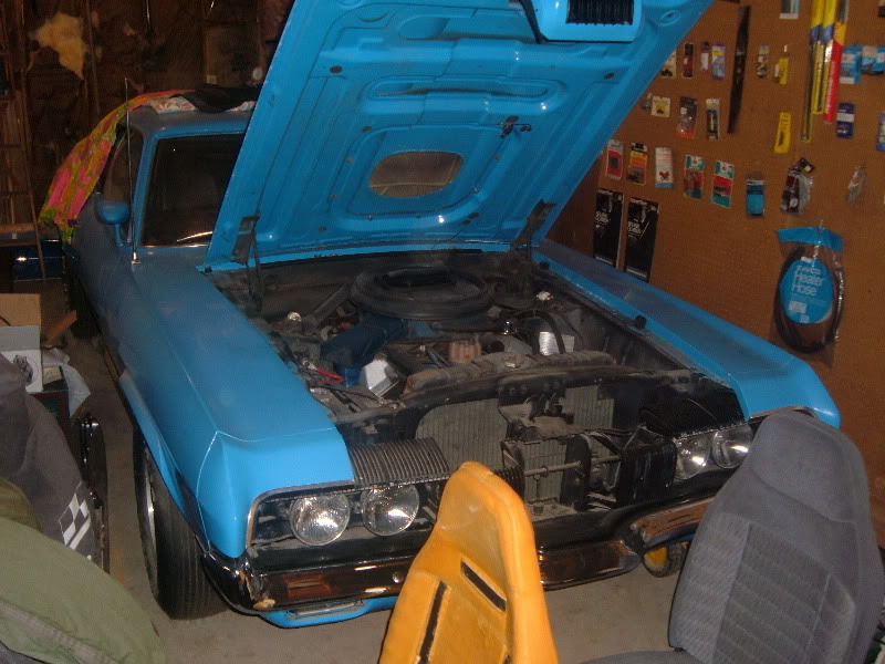 Name:  cougar1_zps90ac1ad7.jpg
Views: 66
Size:  111.8 KB