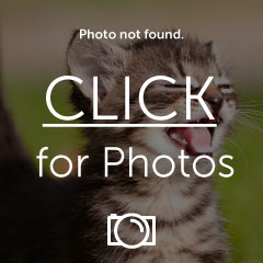 Name:  DSC_0279.jpg
Views: 4198
Size:  14.0 KB
