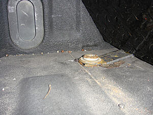 New Project Truck 06 F150 XLT 5.4 4x4-tlcwa.jpg
