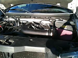 New Project Truck 06 F150 XLT 5.4 4x4-q9rmm.jpg