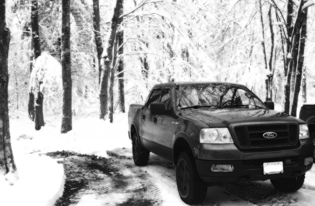 Name:  snow2_zps7ab865e8.jpg
Views: 232
Size:  130.2 KB