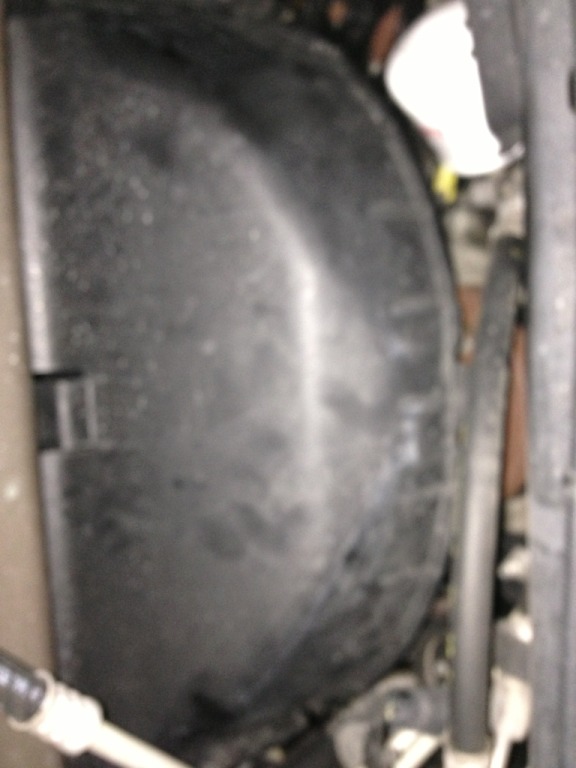 Name: ABB5FD64-994C-4FAA-8A6E-8D05F5B5CB48-26003-00000A03006660AB_zps85fa2c55.jpg
Views: 199
Size: 72.1 KB