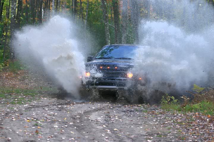 Name: raptor3.jpg
Views: 876
Size: 78.7 KB