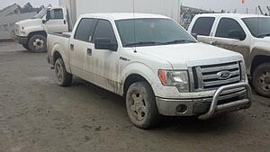Official 2009 - 2014 F-150 Picture/Video thread-avasyo3.jpg