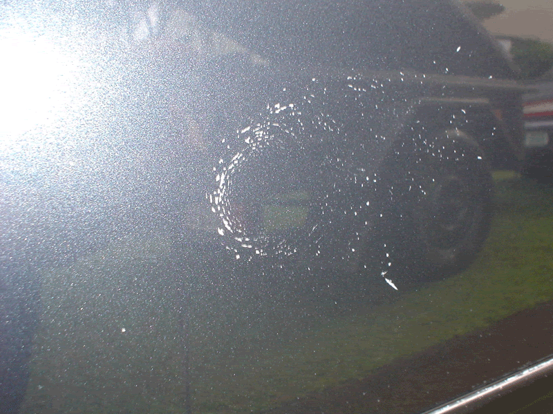 Name:  Egg-damage.gif
Views: 3143
Size:  343.8 KB