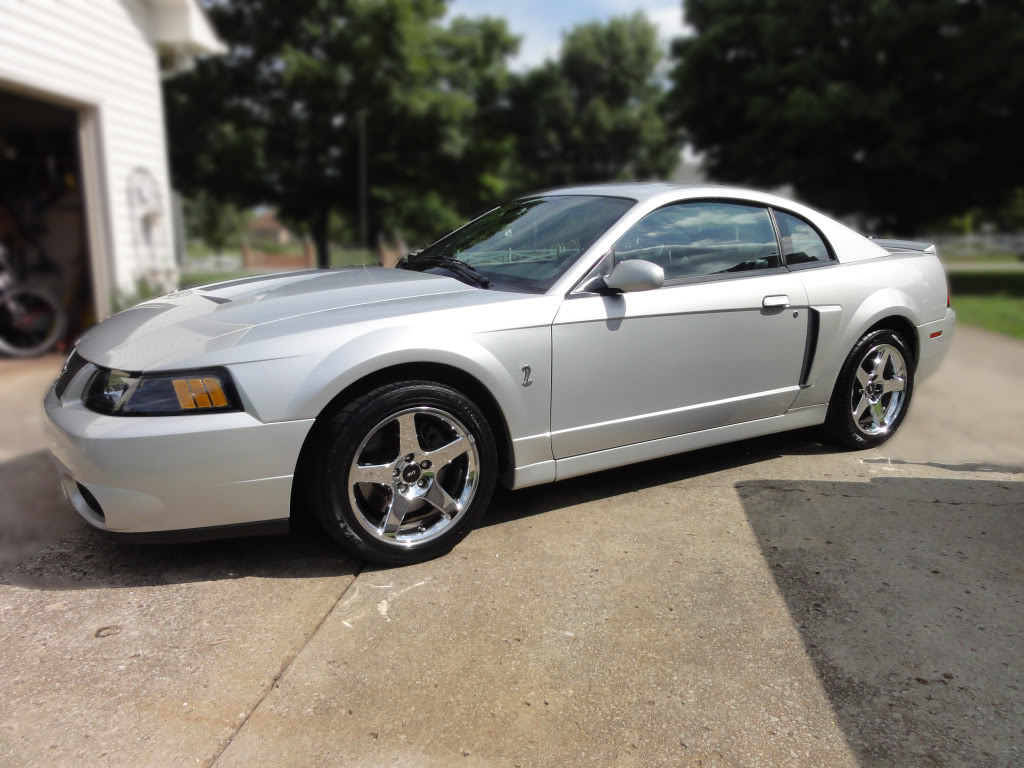 Name: Mustang-DG-B.jpg
Views: 185
Size: 136.4 KB