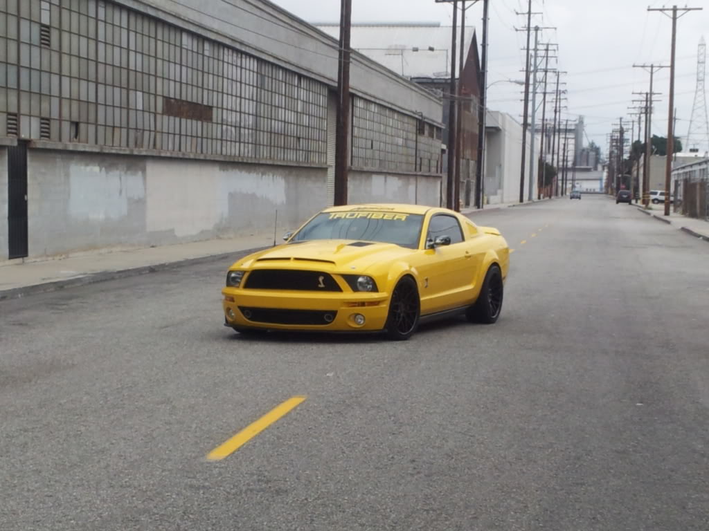 Name:  20121020_120659_zps0940ca17.jpg
Views: 177
Size:  103.8 KB