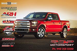 Programmers Exhausts Cai Units and Much More at RDP Store-15fordf150_01-3-.jpg