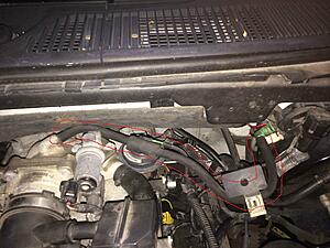 2001 F-150 4.6l Identify this Hose-zgnfroo.jpg