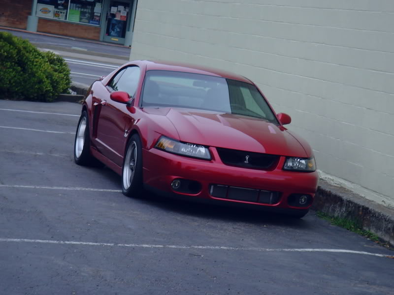 Name:  cobra005.jpg
Views: 42
Size:  53.9 KB