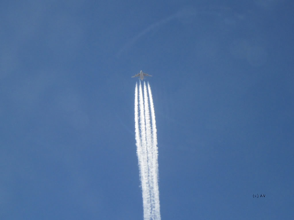 Name: IMG_0658.jpg
Views: 448
Size: 36.3 KB