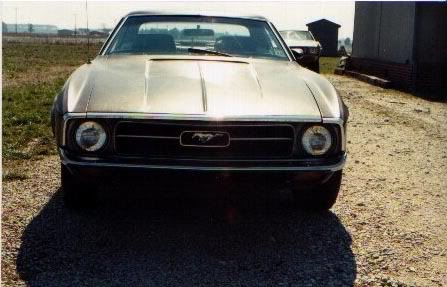 Name:  mustang5.jpg
Views: 79
Size:  30.2 KB