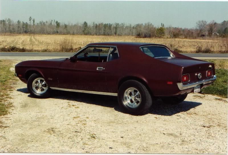Name:  mustang1.jpg
Views: 70
Size:  87.1 KB