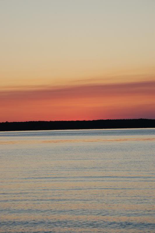 Name:  DSC_0852-1.jpg
Views: 36
Size:  40.6 KB