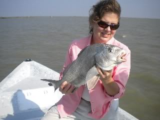 Name:  PamBlkDrum2.jpg
Views: 24
Size:  21.3 KB