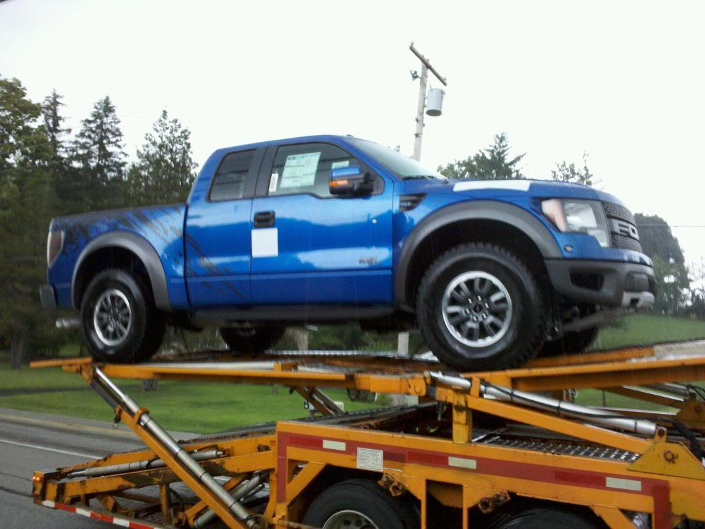 Name:  raptor.jpg
Views: 31
Size:  89.2 KB