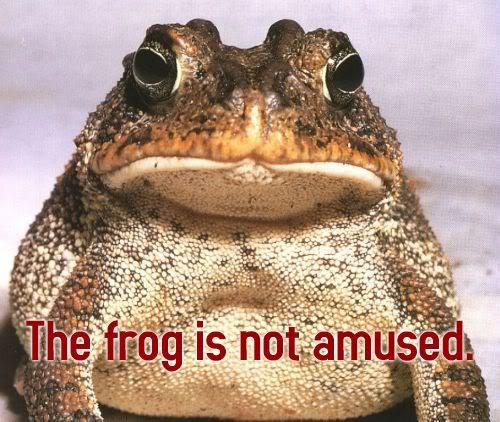 Name:  frog.jpg
Views: 27
Size:  59.8 KB