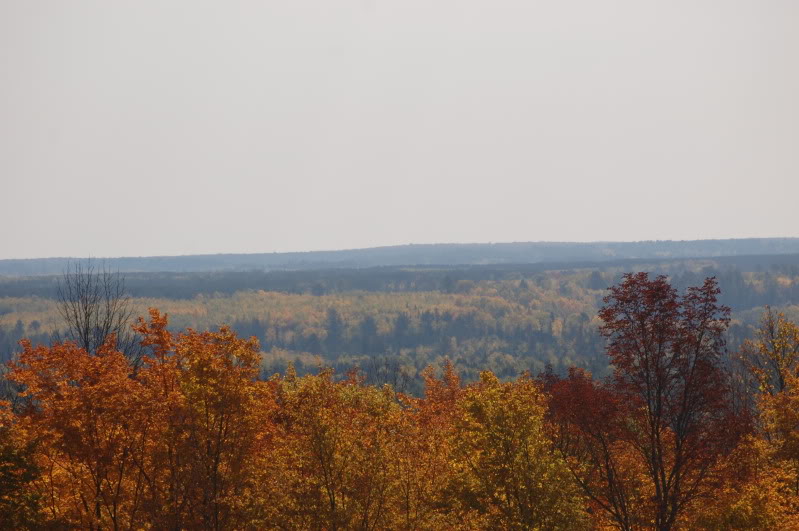 Name: DSC_1000-1.jpg
Views: 45
Size: 75.5 KB