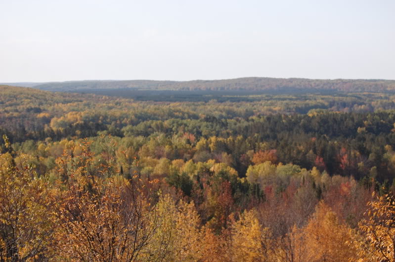 Name:  DSC_0996-1.jpg
Views: 48
Size:  91.4 KB