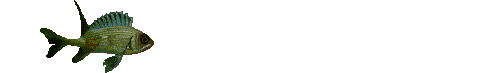 Name:  fishanimation-19.gif
Views: 27
Size:  33.8 KB