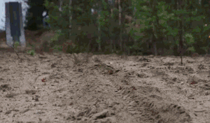 Let's start over......-zjls6bw.gif