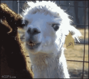 Let's start over......-zgrbj.gif