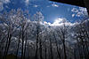 Post your Pics from the Storm!-17march14_0063aw.jpg