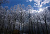 Post your Pics from the Storm!-17march14_0065aw.jpg