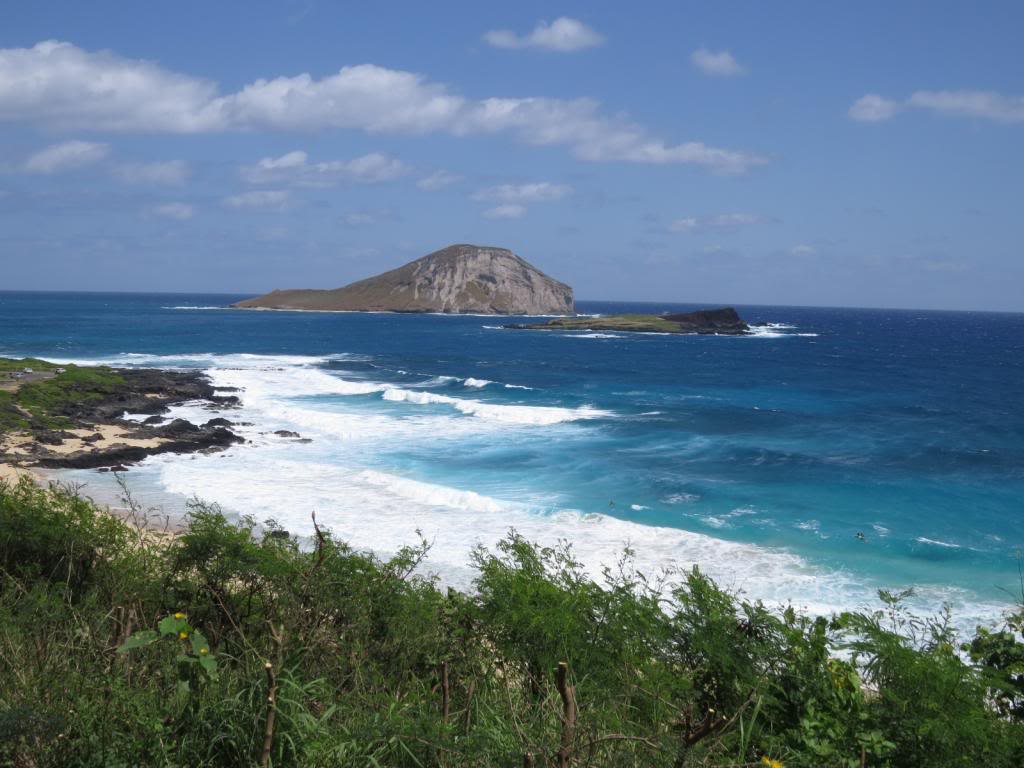 Name: 2014hawaii096_zps15fd8542.jpg
Views: 44
Size: 98.4 KB