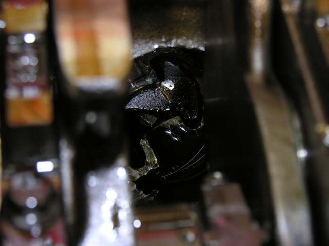Name: DSCN0788.jpg
Views: 332
Size: 33.6 KB