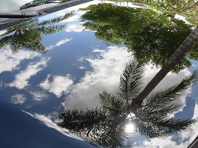 Name:  TruckHood11.jpg
Views: 660
Size:  106.8 KB
