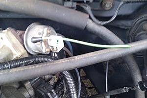 94 F150 4.9 Mystery Wire!-8gnooh.jpg
