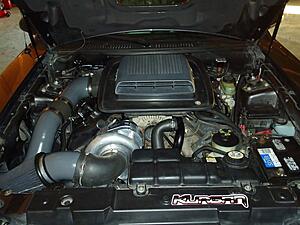 procharger so disappointed-zc2pehrl.jpg