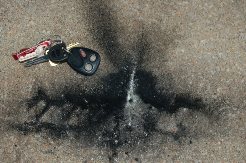 Name:  DSC_5278-1.jpg
Views: 4091
Size:  132.2 KB