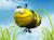 crazyyy2305's Avatar