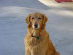 divot's Avatar