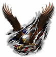 Rusty Anderson's Avatar