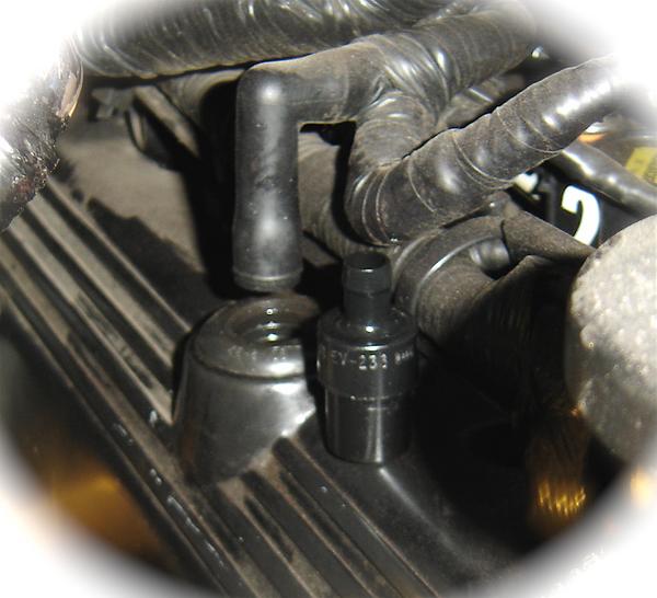 2005 Ford f150 5.4 pcv valve #8