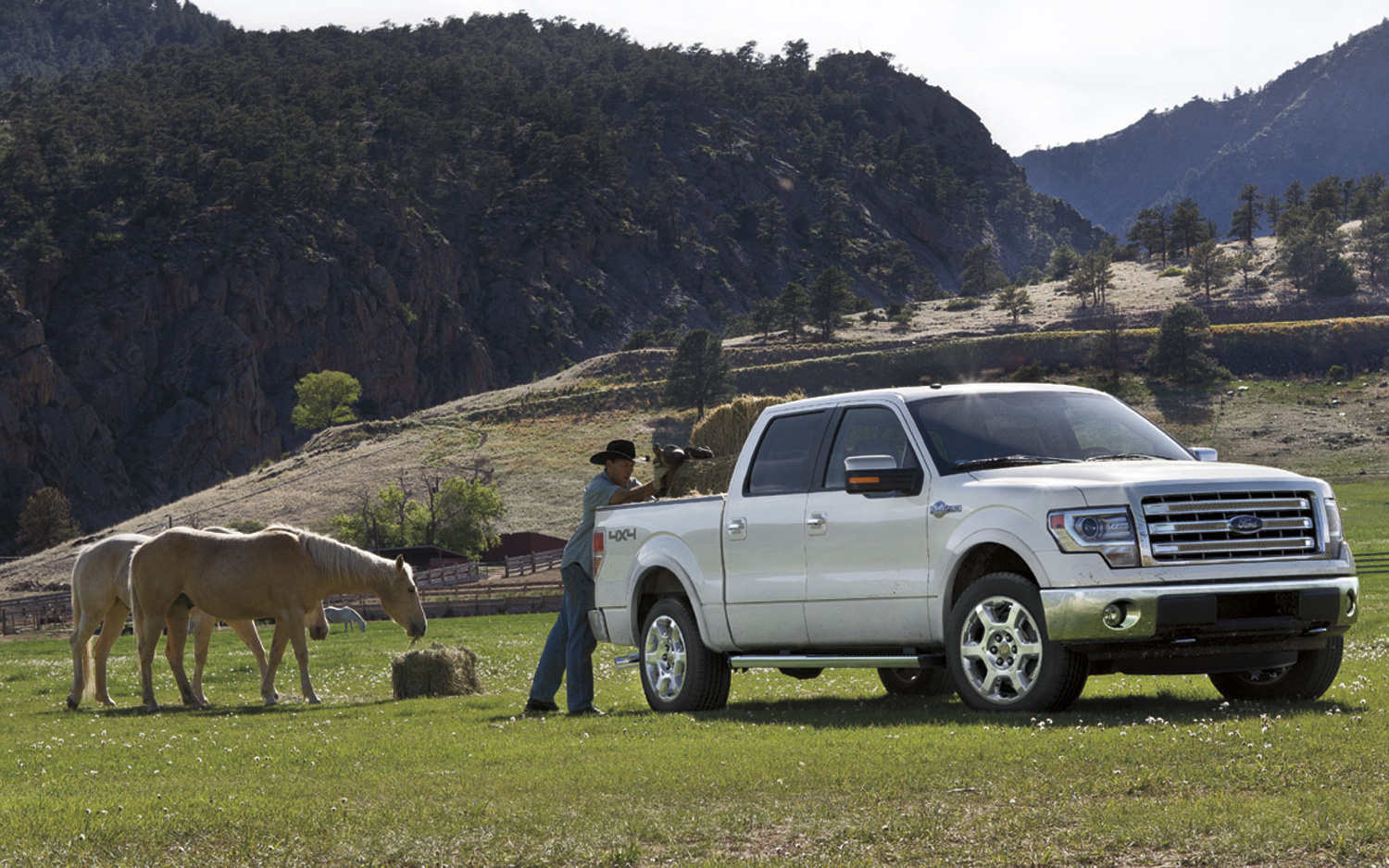 F-150 King Ranch: the Truck That Defines Authentic Western Luxury and Style...