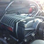 Photo of the Week: The Beast III