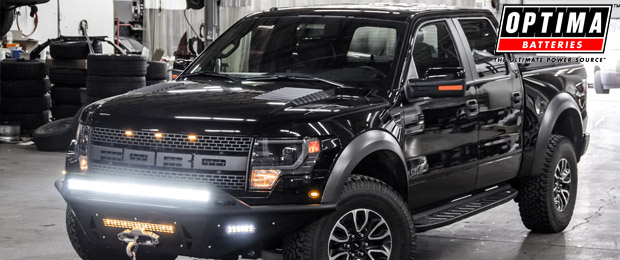 OPTIMA Presents Photo of the Week: DiamondBack Raptor