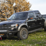 OPTIMA Presents Photo of the Week: DiamondBack Raptor