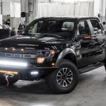 OPTIMA Presents Photo of the Week: DiamondBack Raptor