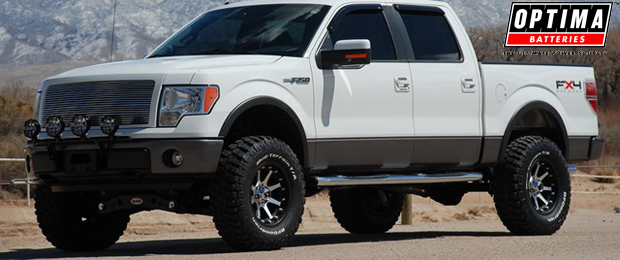 OPTIMA Presents Photo of the Week: King of the Desert