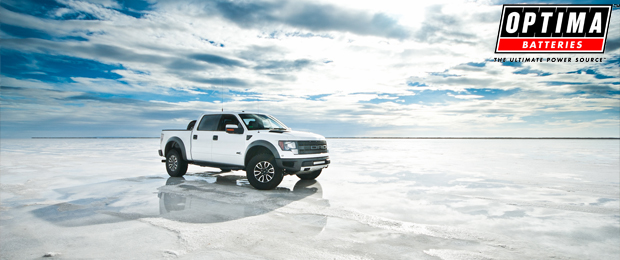 OPTIMA Presents Photo of the Week: Raptor in White
