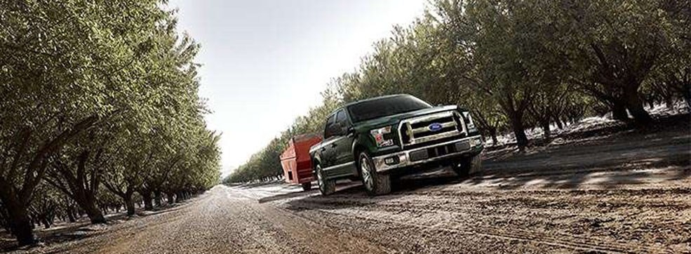 Going to Drive the 2015 F-150.  What Would You Like to Know About It?