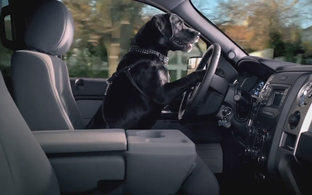 THROWBACK VIDEO Luke the Lab Drives a Ford F-150