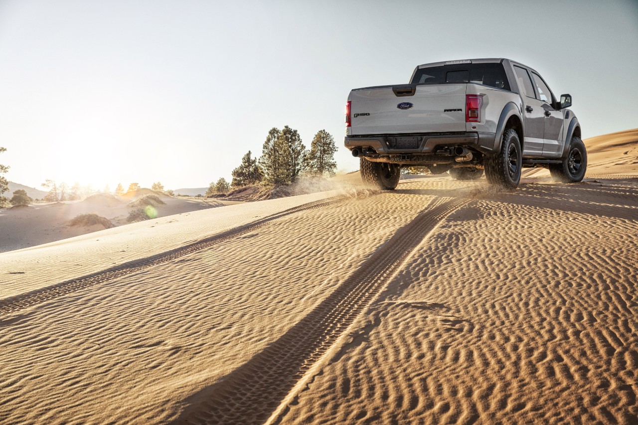 Gray_Raptor_Dunes_Handheld_0070