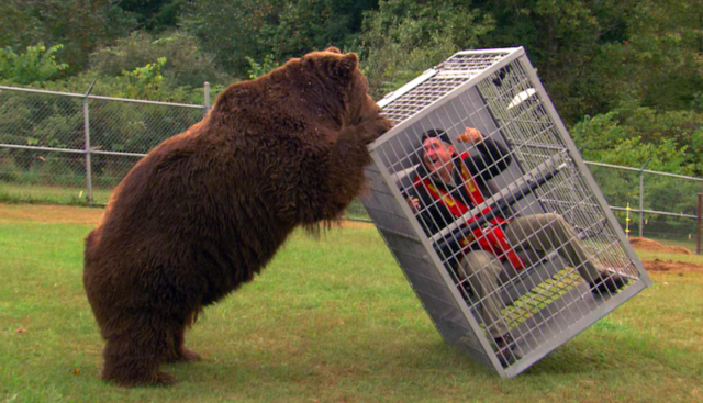 Ford Executive Talks About Bears, Cages, Aluminum, and the Future